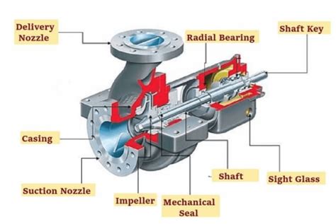 single entry centrifugal pump|single stage pump diagram.